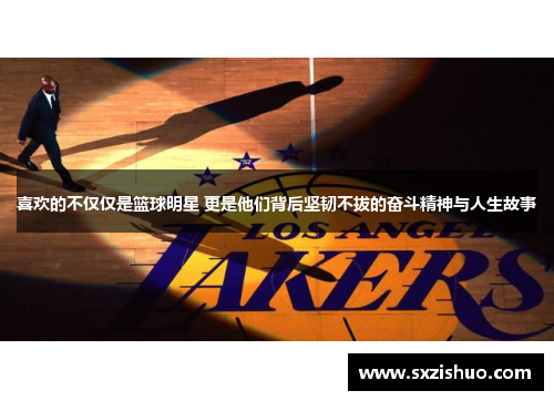 喜欢的不仅仅是篮球明星 更是他们背后坚韧不拔的奋斗精神与人生故事